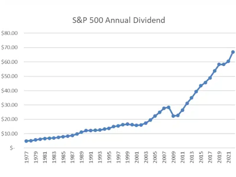 Invierte en acciones o ETF de dividendos