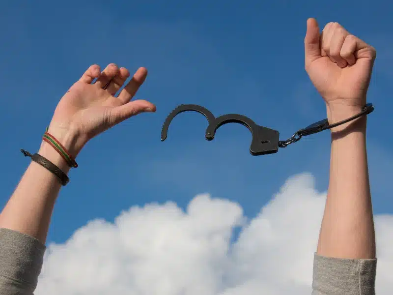 libertad con la teoría de las banderas